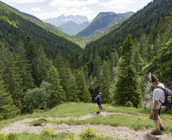 Blog Vorschaubild - DAV Wegepflege
