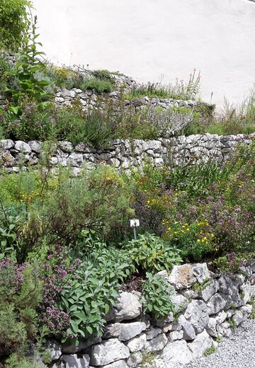 Veranstaltungsbild: Fotowettbewerb zum Terrassengarten im Hohen Schloss