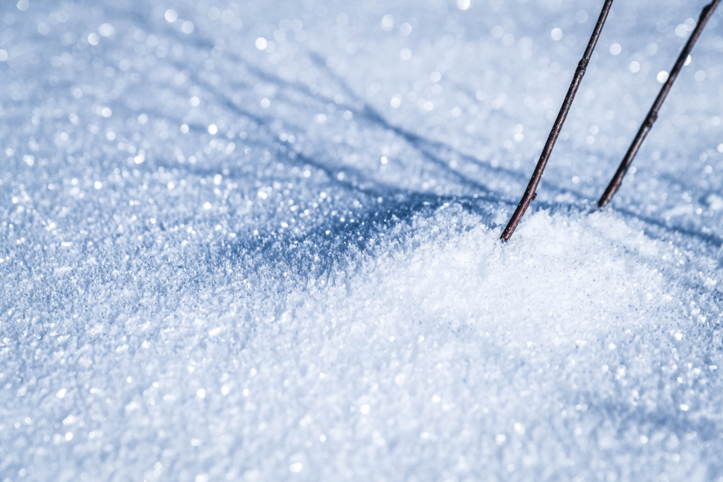 simontoplak_com_FTM_winter19_IYR__STO6545