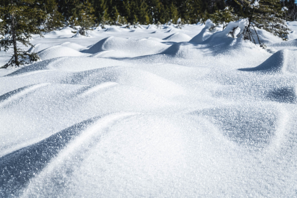 simontoplak_com_FTM_winter19_IYR__STO6616