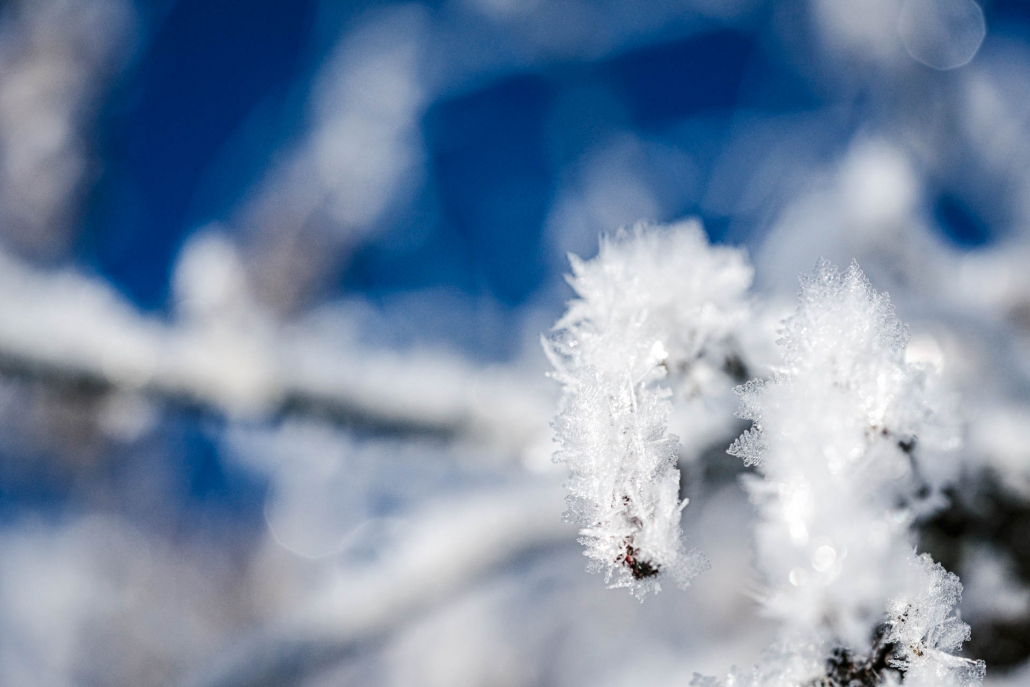 simontoplak_com_FTM_winter19_IYR_STO5617