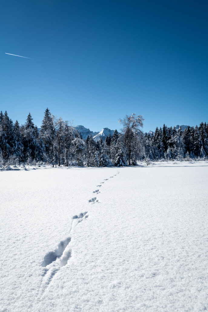 simontoplak_com_FTM_winter19_IYR__STO6015