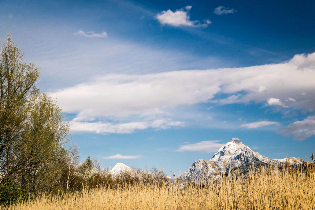 5_simontoplak_com_iyr_saeuling_02