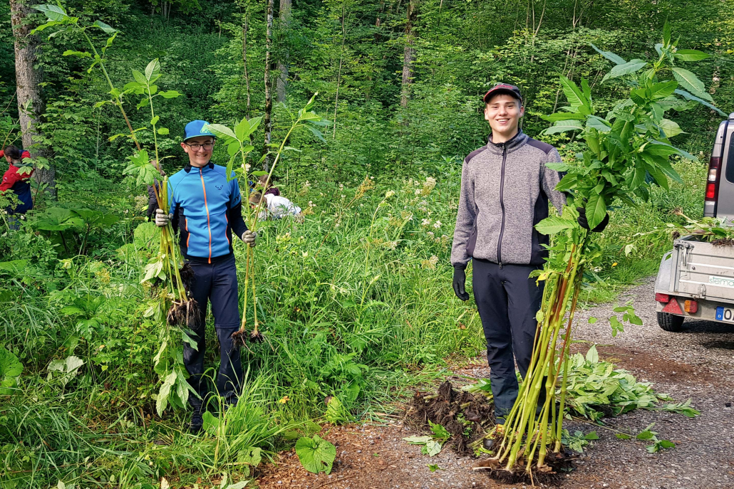 30_20200725_092424-3