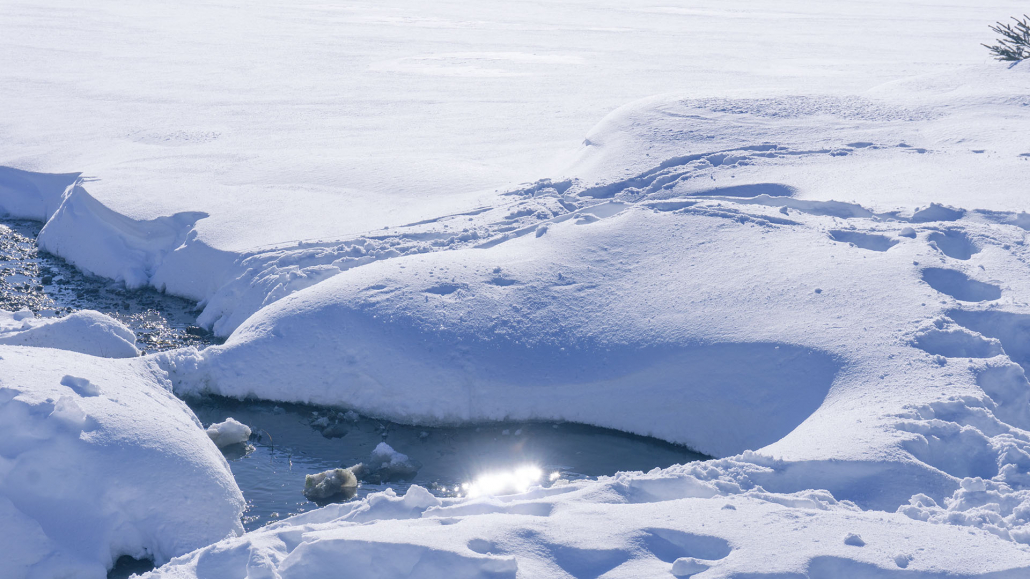 11A_DSC06548_bearb._1920