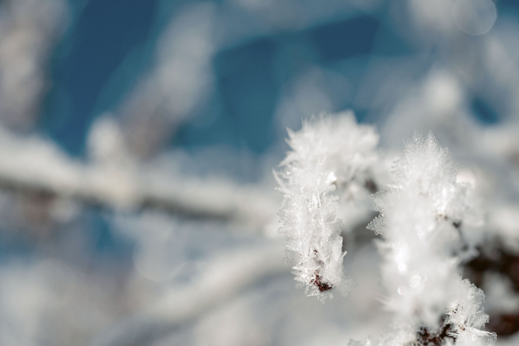 15_simontoplak_com_FTM_winter19_AS_STO5617_bearb._1920