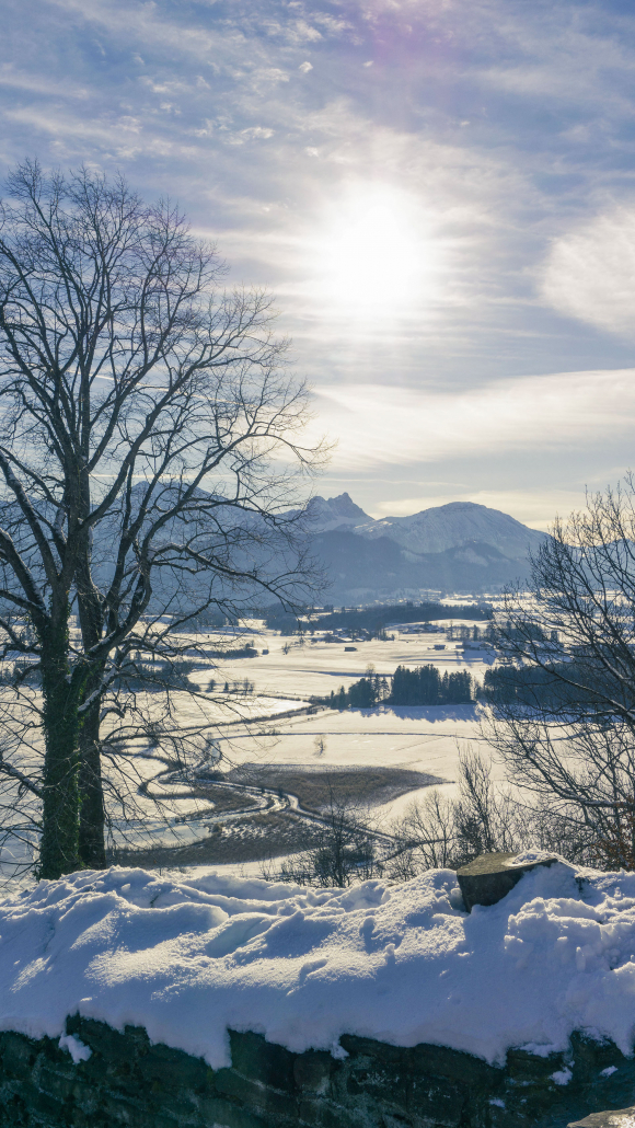 20_DSC07037_bearb._1920