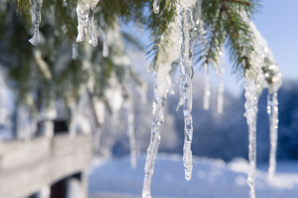 23_8942243_bearb._1920