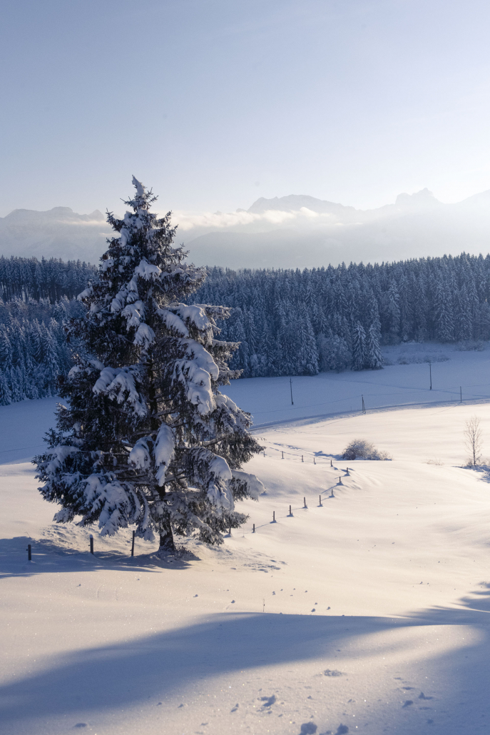 24_8942257_bearb._1920