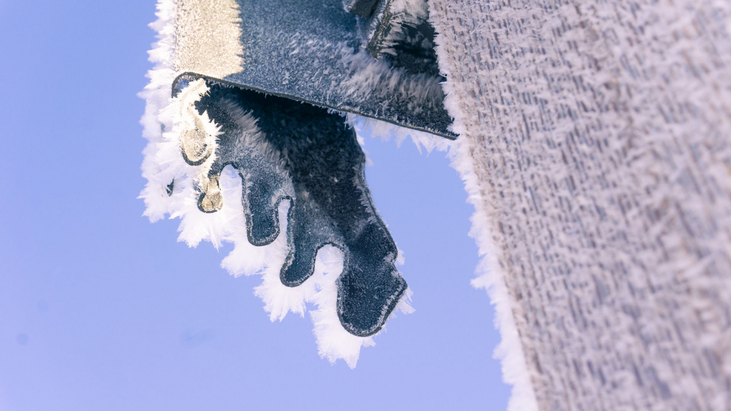 7_DSC06761_bearb._1920