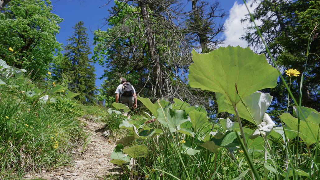 13_Anderszeit_Juli_1920