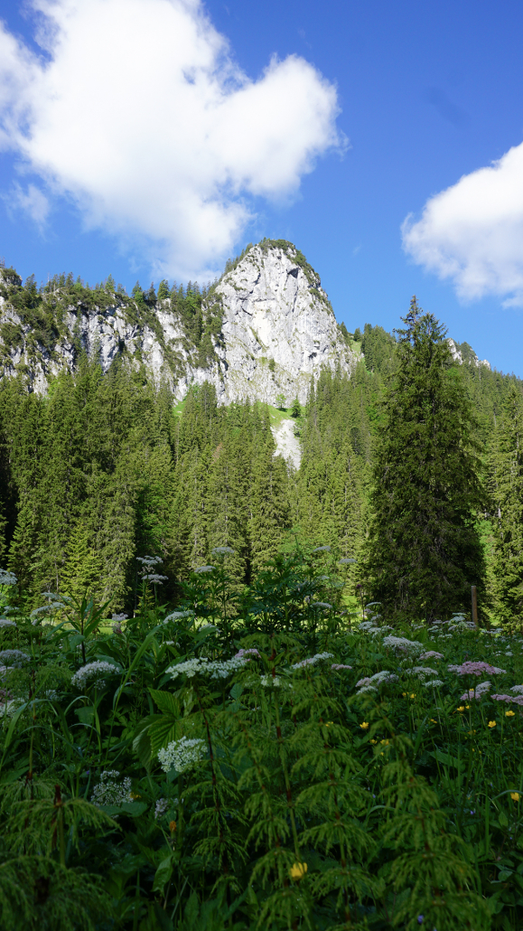 16_Anderszeit_Juli_1920