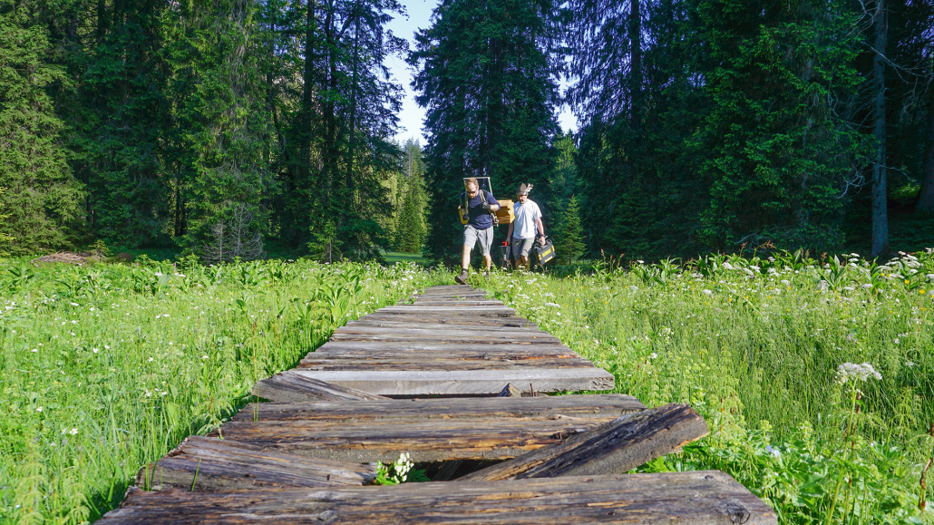 17_Anderszeit_Juli_1920