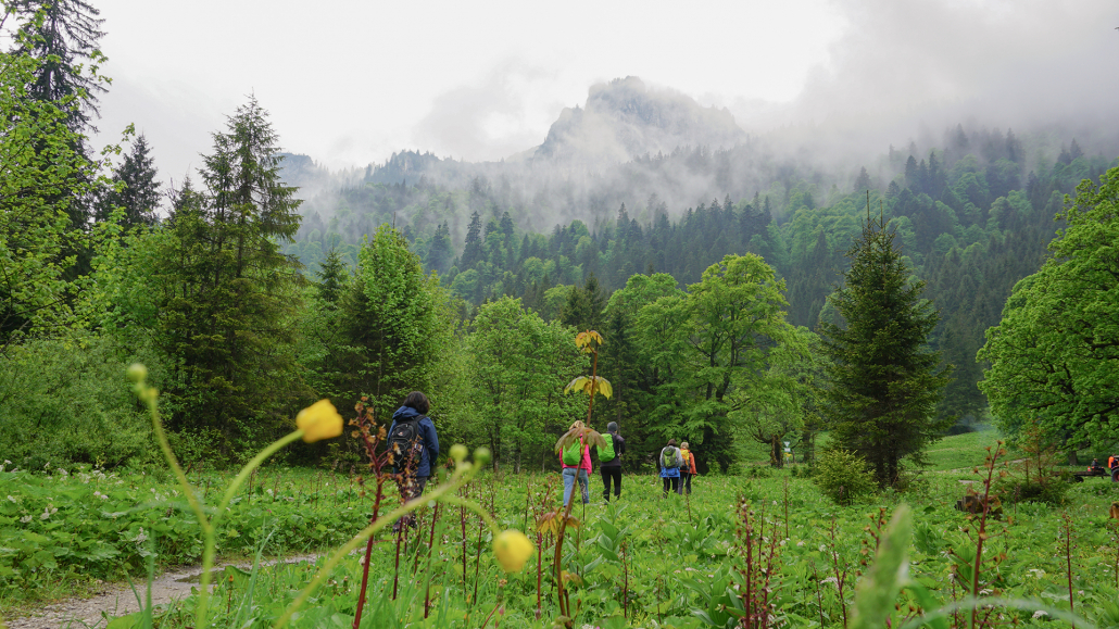 4_Anderszeit_Juli_1920