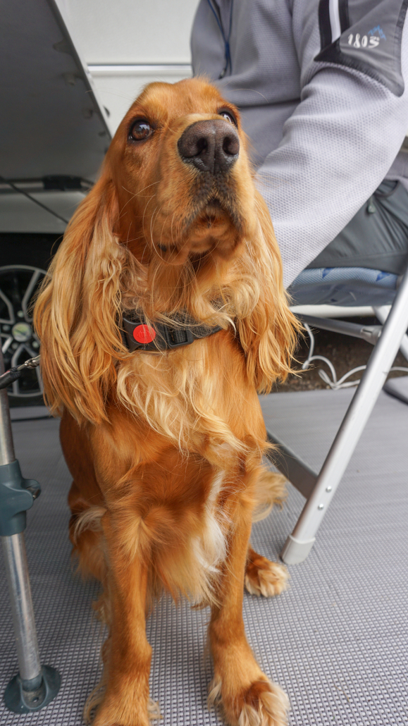 21_Anderszeit_September2022_1920