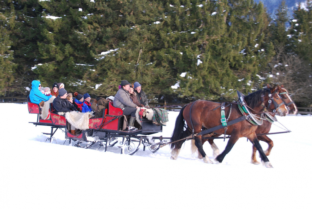 Füssen_Hirschfütterung_10(87)_©Füssen Tourismus und Marketing_Ines Dehner_1980x1285