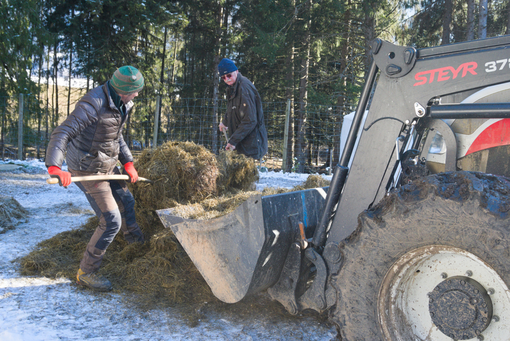 Wildfütterung Schwangau_Janna Kamphof (6)
