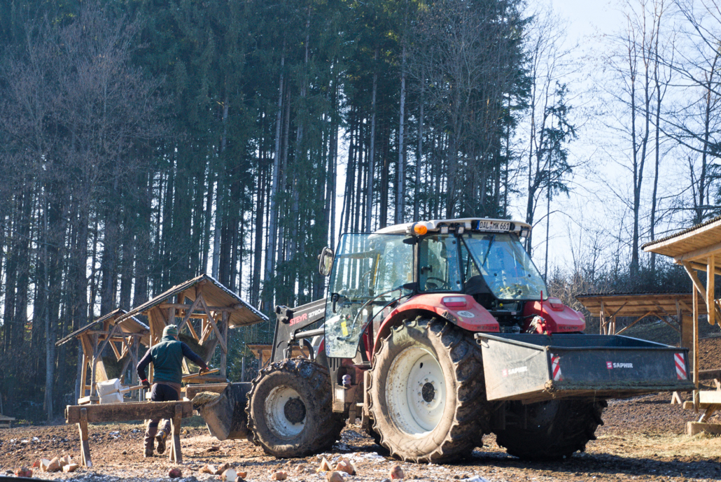 Wildfütterung Schwangau_Janna Kamphof (8)