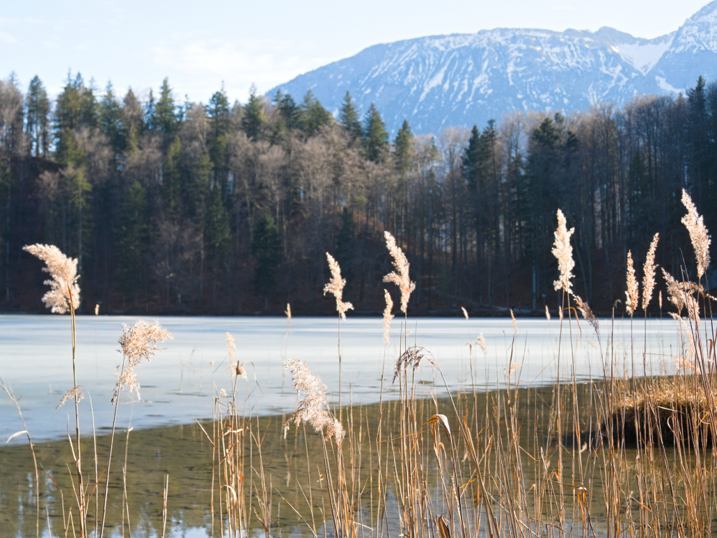 Anderszeit_1920_Alatsee im Winter1