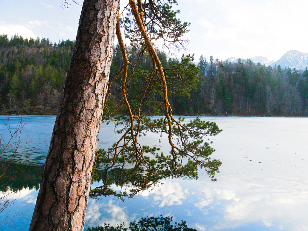 Anderszeit_1920_Alatsee im Winter2