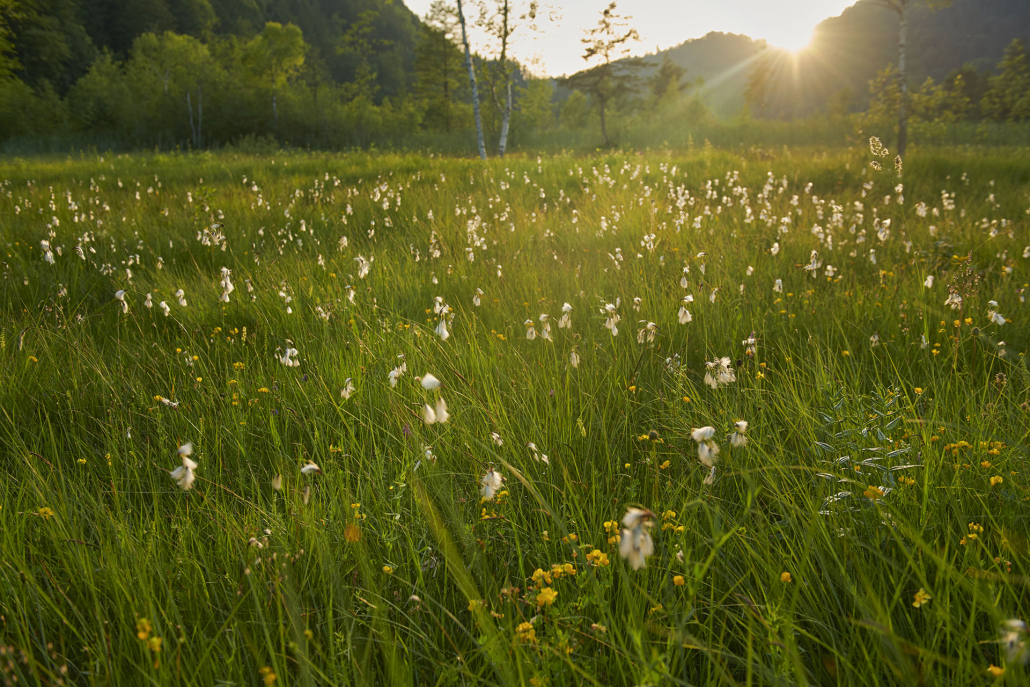 29_Anderszeit_August_2023_Seen_1920