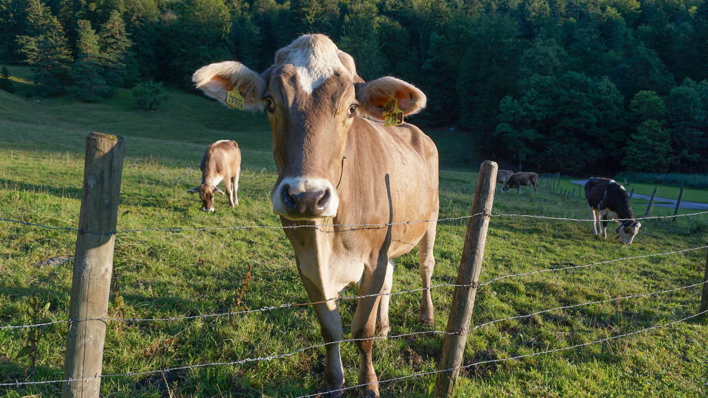 3_Anderszeit_August_2023_Seen_1920