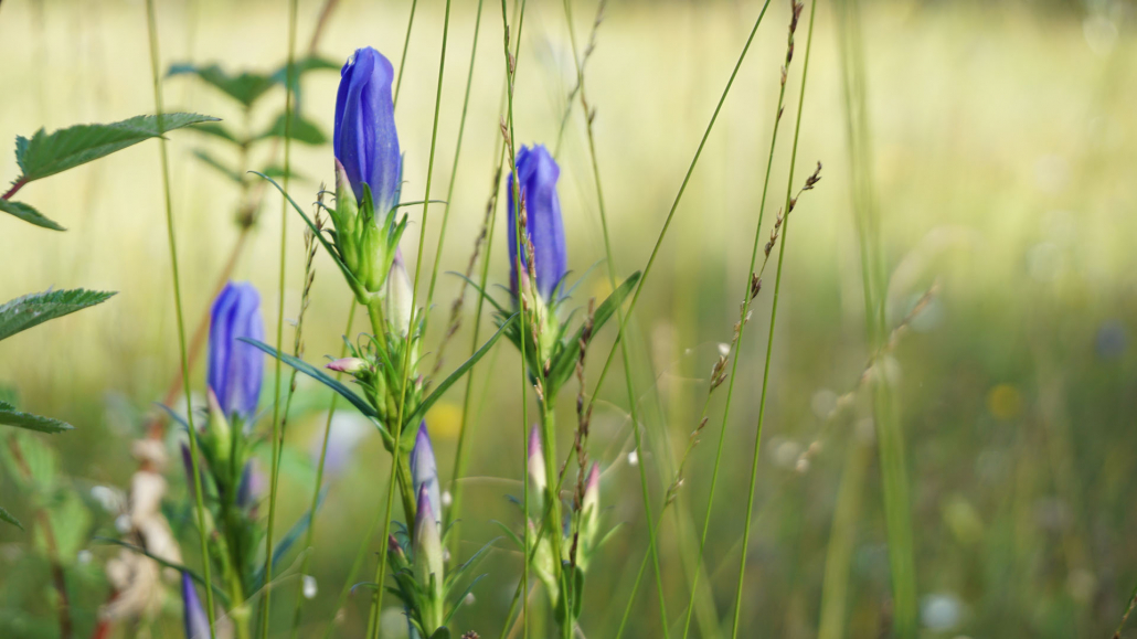 8_Anderszeit_August_2023_Seen_1920