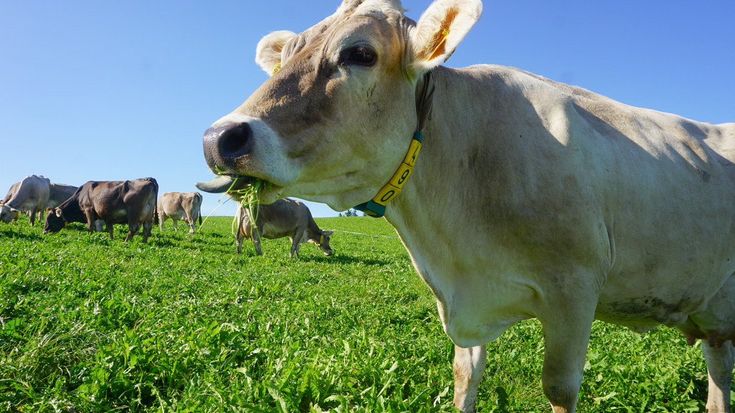 10_Anderszeit_Oktober2023_1920