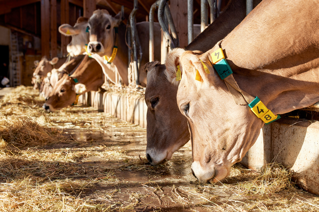 14_Anderszeit_Oktober2023_1920