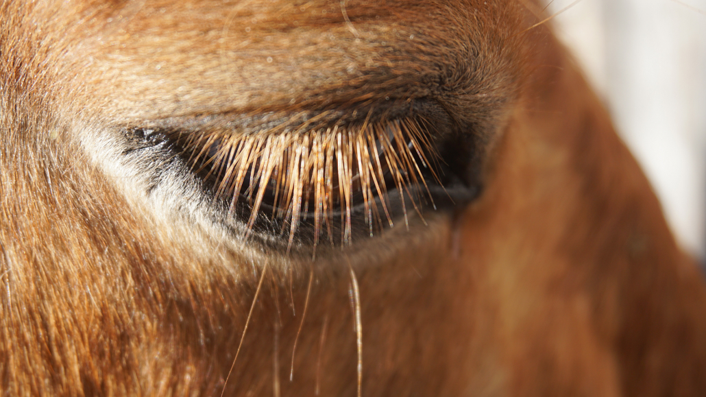 16_Anderszeit_Oktober2023_1920