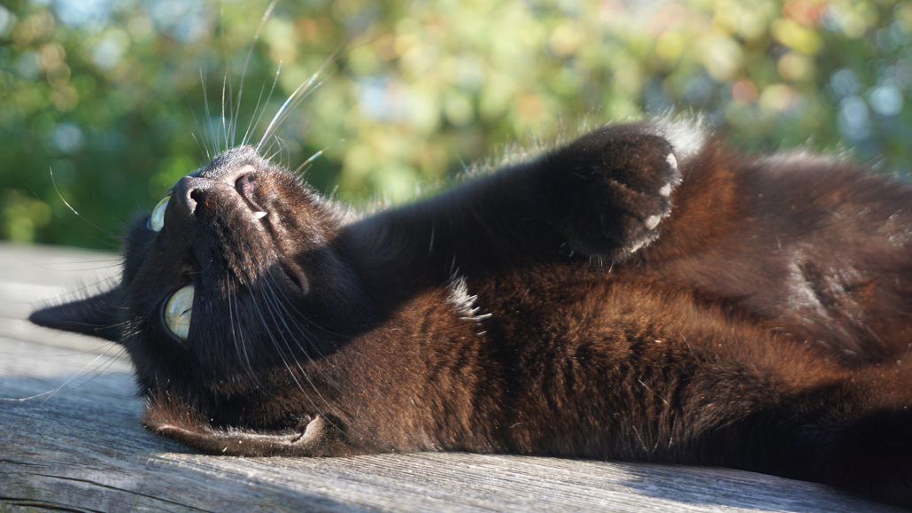 34_Anderszeit_Oktober2023_1920