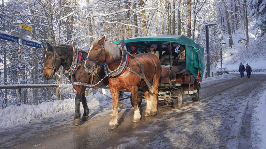12_Anderszeit_Dezember_Kutschbetriebe_1920