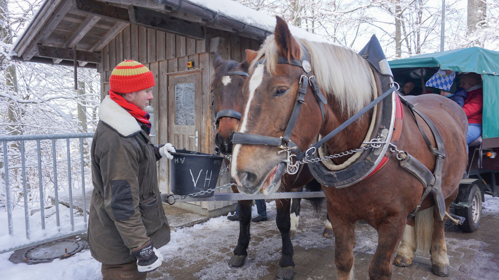 14_Anderszeit_Dezember_Kutschbetriebe_1920