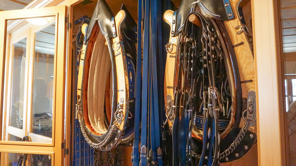 25_Anderszeit_Dezember_Kutschbetriebe_1920