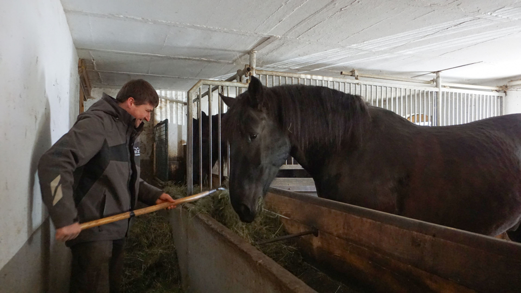 26_Anderszeit_Dezember_Kutschbetriebe_1920