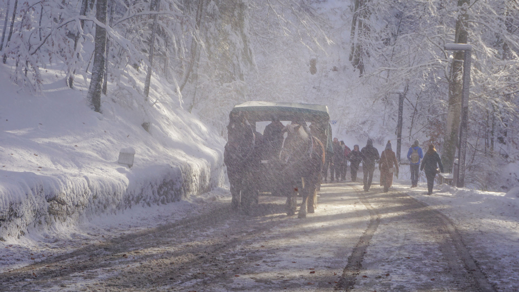 34_Anderszeit_Dezember_Kutschbetriebe_1920