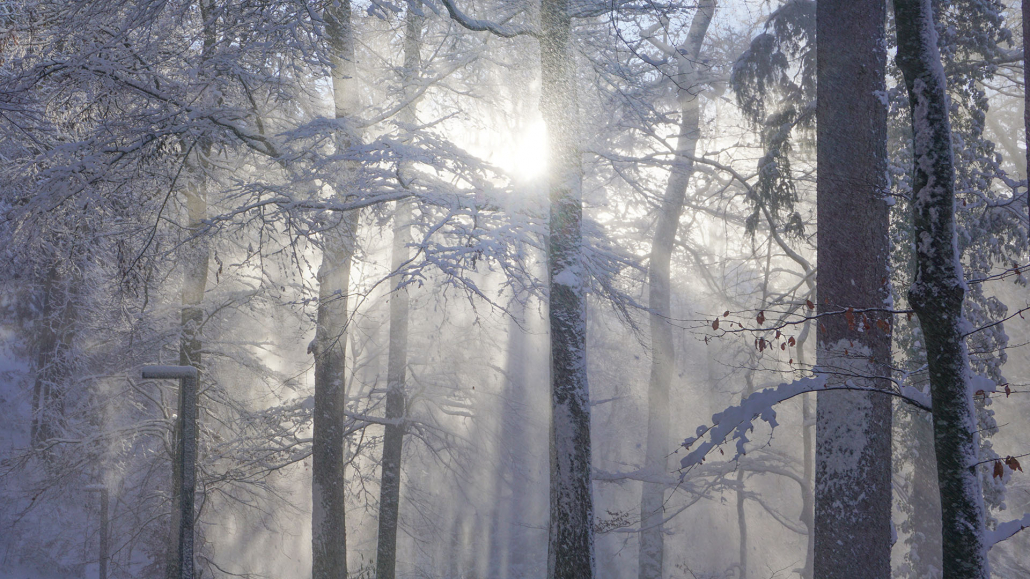 6_Anderszeit_Dezember_Kutschbetriebe_1920