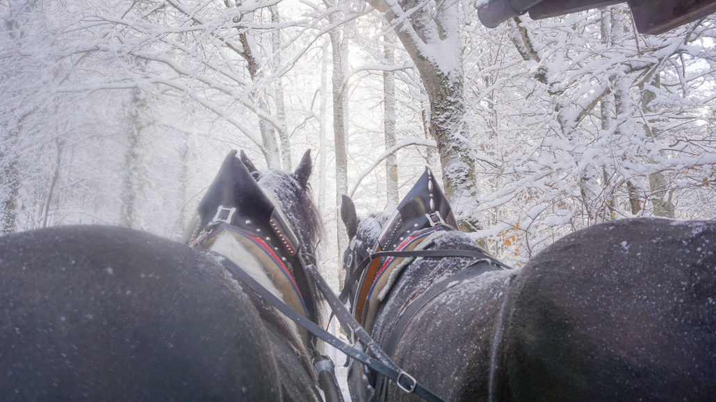 7_Anderszeit_Dezember_Kutschbetriebe_1920