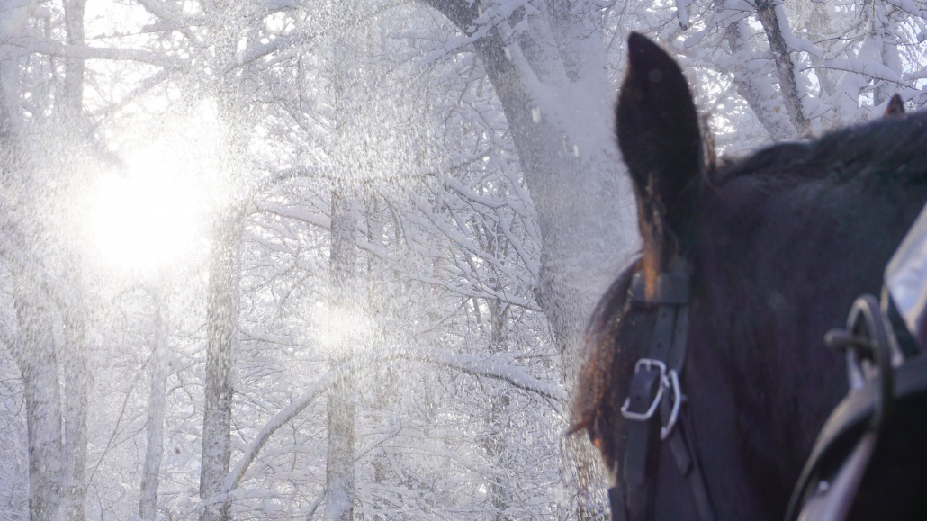 8_Anderszeit_Dezember_Kutschbetriebe_1920