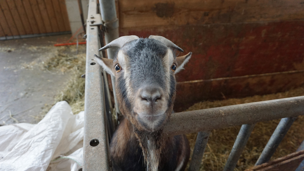 23_Anderszeit_Januar2024_1920