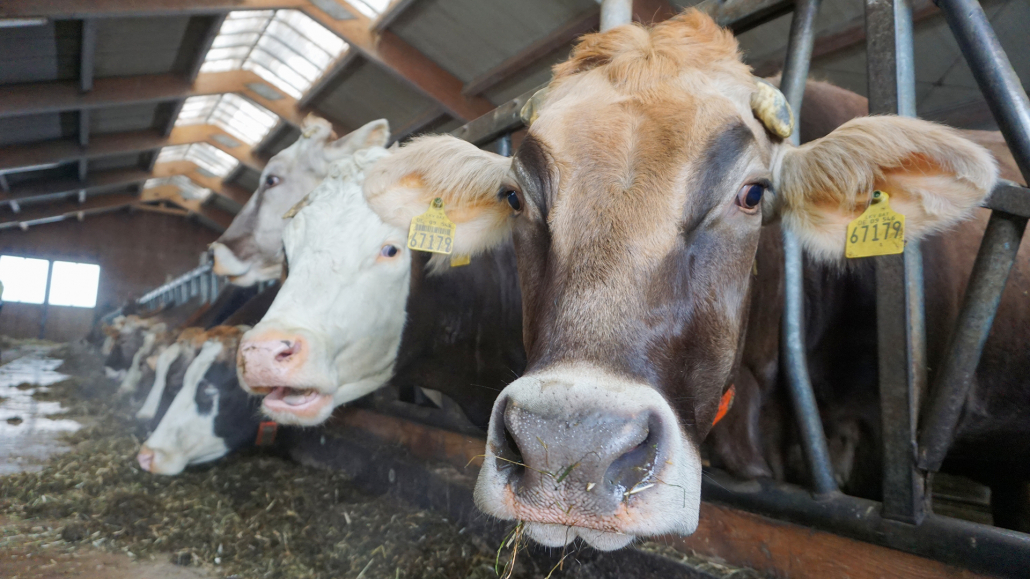 24_Anderszeit_Januar2024_1920