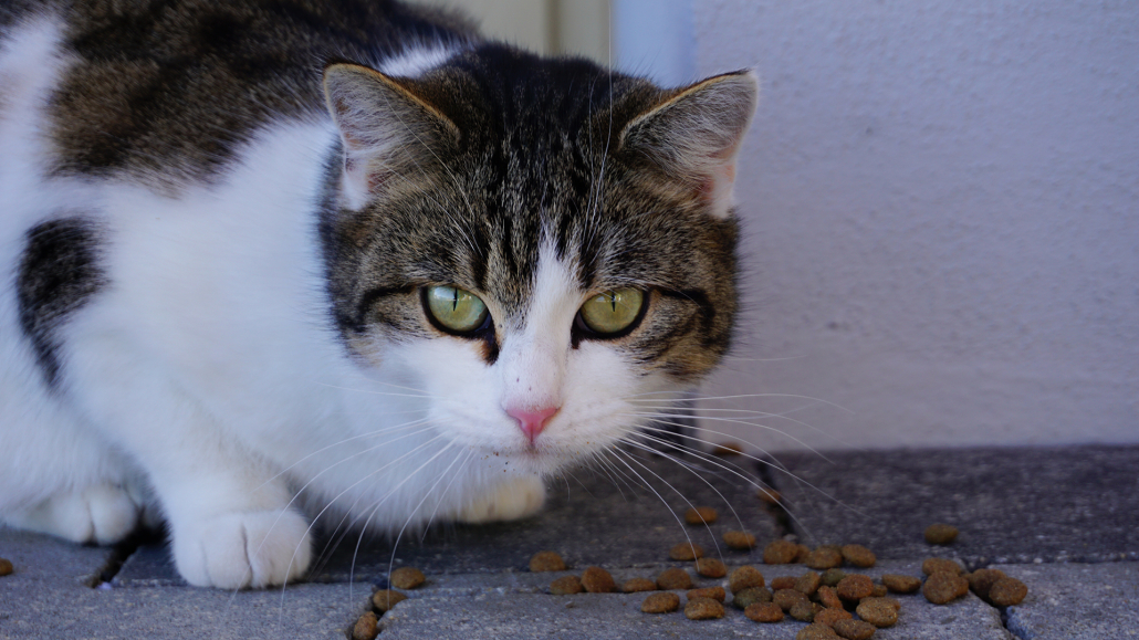 34_Anderszeit_Januar2024_1920