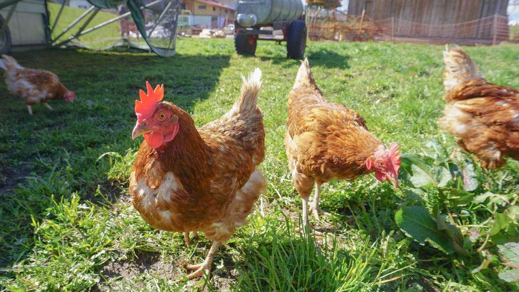 5_Anderszeit_März 2024_1920