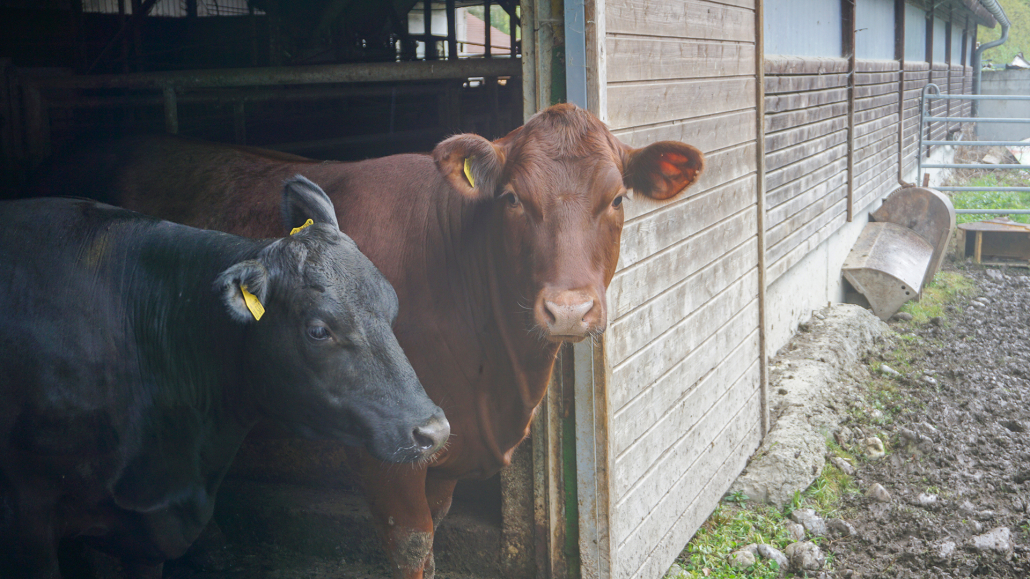 17_Anderszeit_April_2024_1920