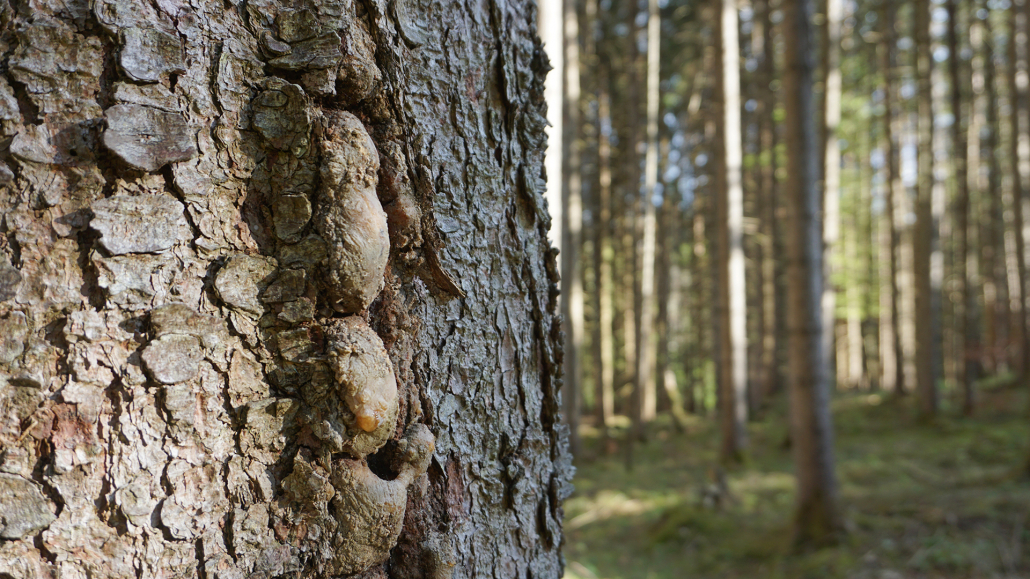 21_Anderszeit_April_2024_1920