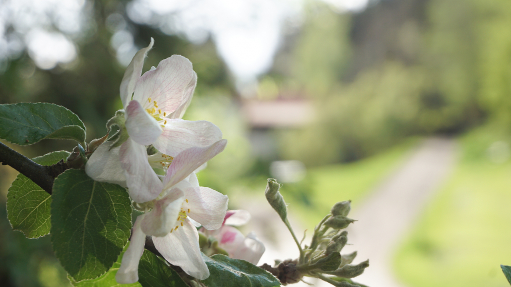 30_Anderszeit_April_2024_1920